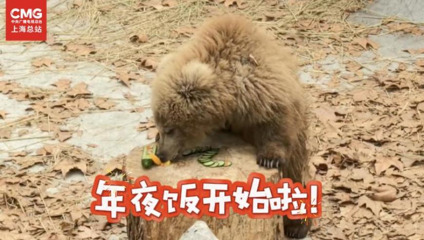 返工人把高铁吃成流水席了,777788888精准管家婆,社会责任方案执行_静态版V7.10