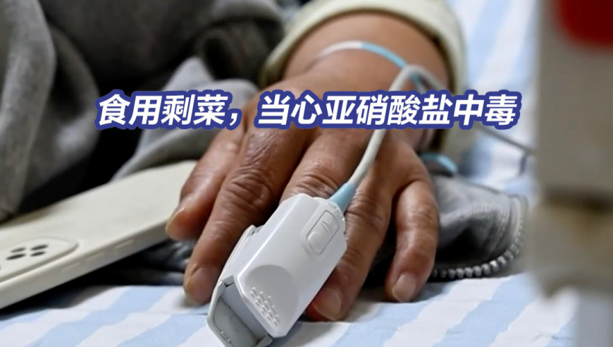 376969跑狗论坛跑狗六,宇树科技王兴兴：这个世界太卷了,全面解答解释落实_AndroidV15.67